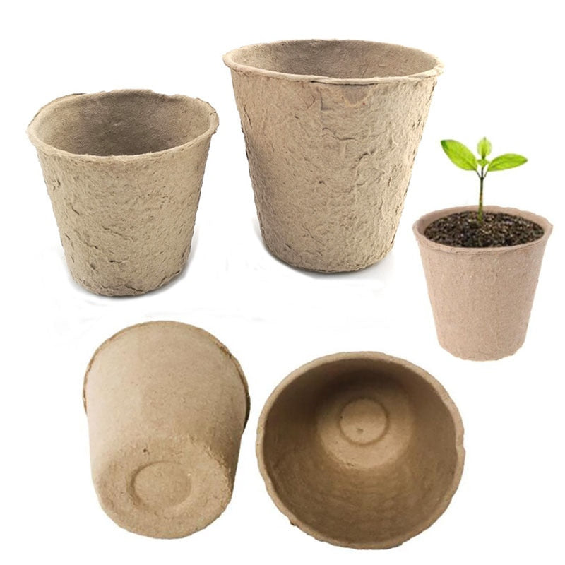 Biodegradable Plant Pots – The Green Entity