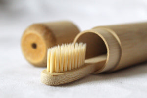 Biodegradable Bamboo Toothbrush