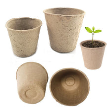 Load image into Gallery viewer, Biodegradable Plant Pots
